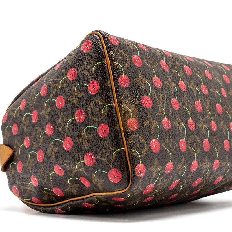 LOUIS VUITTON MURAKAMI SPEEDY 25 210036 (25*19*15cm)